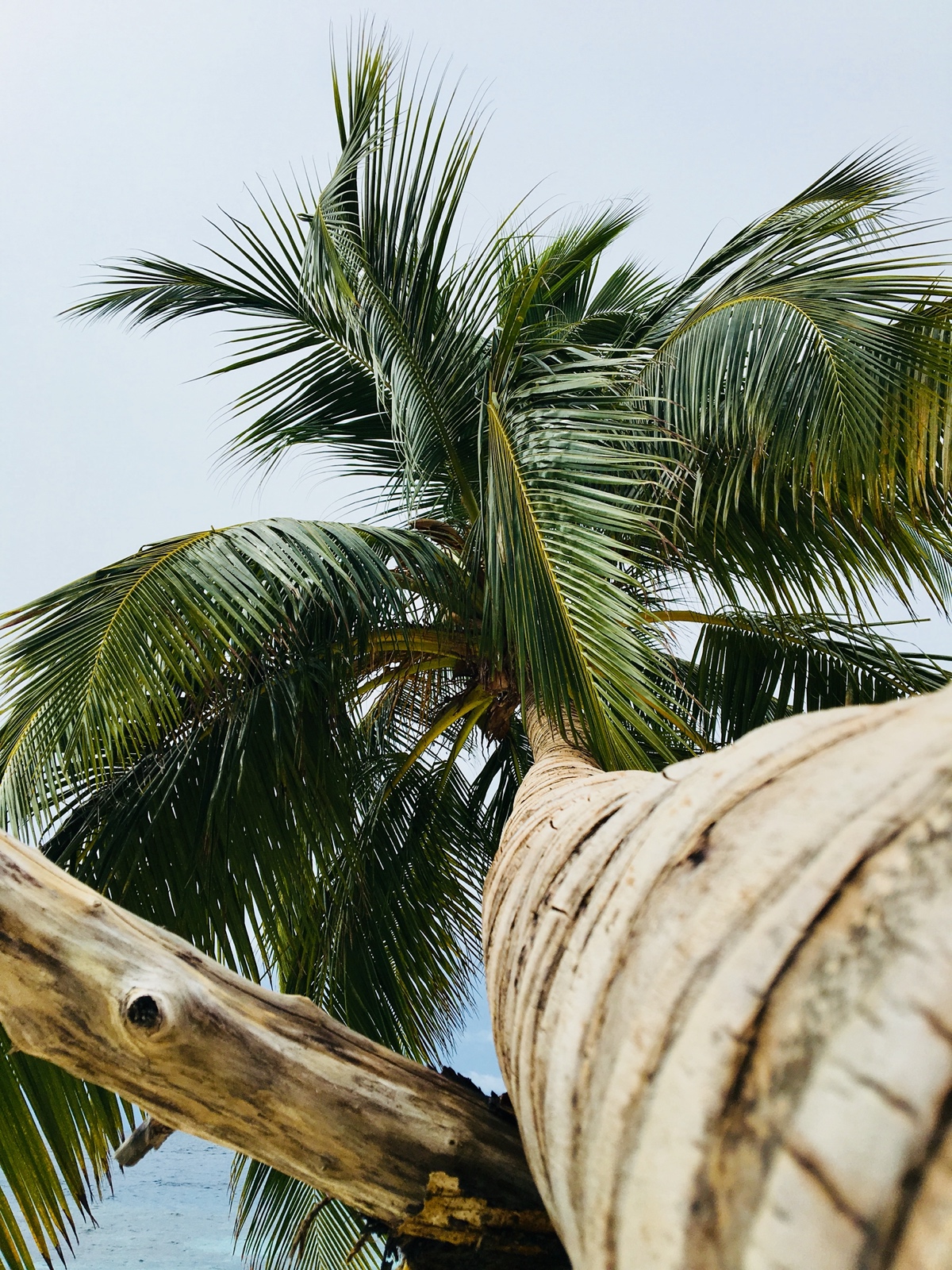 15E7978A 3EE5 45A2 A4F9 0BC6A136555A 1 201 a