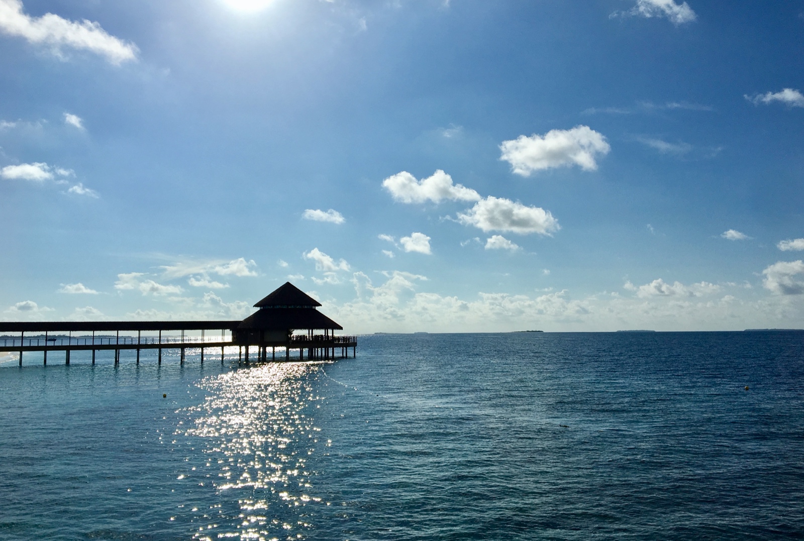 6E5596AF BDEC 4739 9BB8 3D1371918B9F 1 201 a