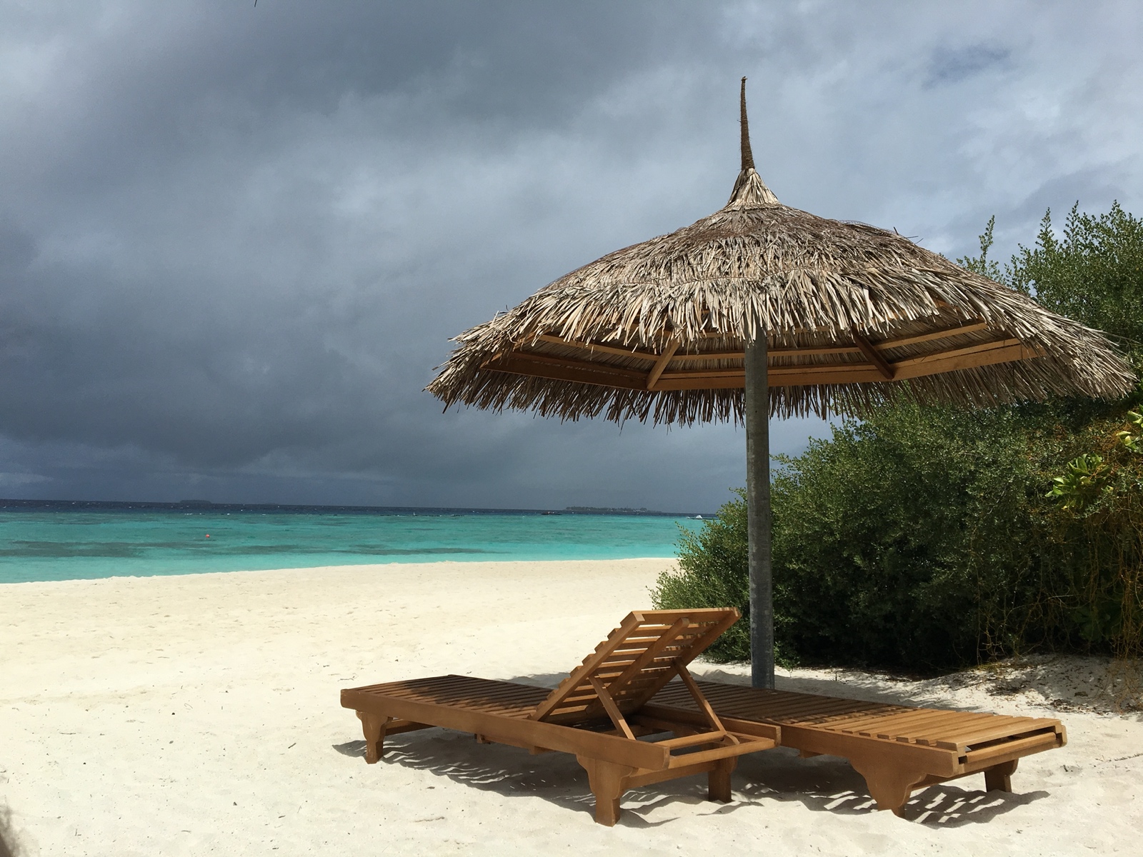 8B5F6A0B 8623 4D66 B338 7F234A044CF1